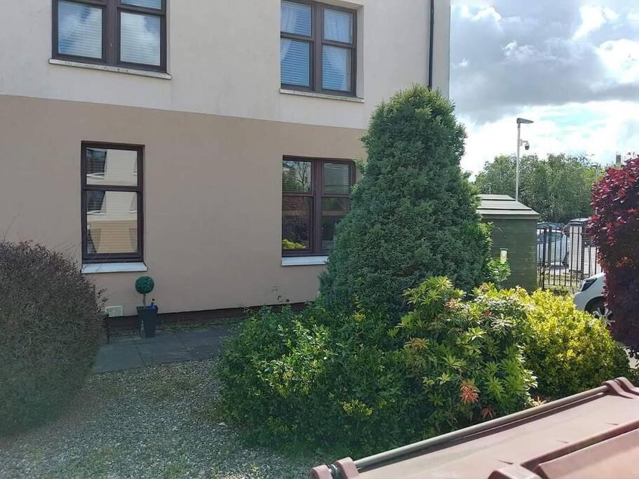 Lovely 2 Bedroom Apartment In Heart Of Данді Екстер'єр фото